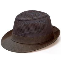 Men's Basic Simple Style Solid Color Crimping Fedora Hat sku image 3