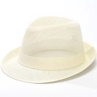 Men's Basic Simple Style Solid Color Crimping Fedora Hat sku image 6
