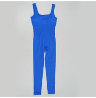 Basic Klassischer Stil Einfarbig Nylon U-ausschnitt Trainings Anzug Overalls main image 7