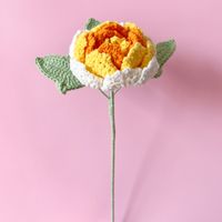 Einfacher Stil Klassischer Stil Blume Getrocknete Blumen Nachgemachte Pflanzen sku image 5