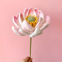 Einfacher Stil Klassischer Stil Blume Getrocknete Blumen Nachgemachte Pflanzen sku image 8