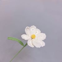 Simple Style Classic Style Flower Dried Flower Imitation Plants sku image 4