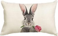 Einfacher Stil Kaninchen Polyester Kissenbezüge sku image 12