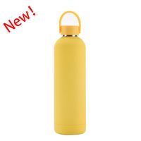 Casual Solid Color Stainless Steel Water Bottles 1 Piece sku image 6