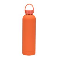 Casual Solid Color Stainless Steel Water Bottles 1 Piece sku image 9