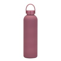 Casual Solid Color Stainless Steel Water Bottles 1 Piece sku image 11