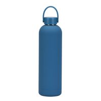 Lässig Einfarbig Rostfreier Stahl Wasserflaschen 1 Stück sku image 19