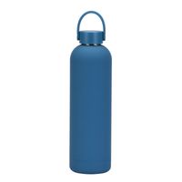 Casual Solid Color Stainless Steel Water Bottles 1 Piece sku image 19