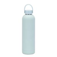 Lässig Einfarbig Rostfreier Stahl Wasserflaschen 1 Stück sku image 18