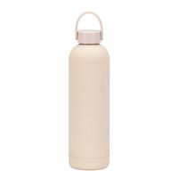 Casual Solid Color Stainless Steel Water Bottles 1 Piece sku image 20