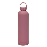 Casual Solid Color Stainless Steel Water Bottles 1 Piece sku image 6