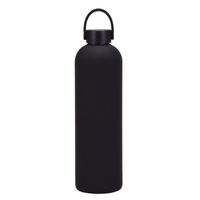 Casual Solid Color Stainless Steel Water Bottles 1 Piece sku image 10