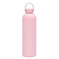 Casual Solid Color Stainless Steel Water Bottles 1 Piece sku image 11