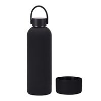 Casual Solid Color Stainless Steel Silica Gel Water Bottles 1 Piece sku image 4