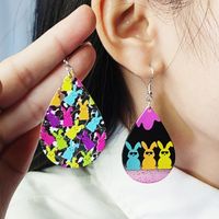 1 Pair Cartoon Style Cute Geometric Printing Arylic Drop Earrings main image 1
