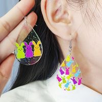 1 Pair Cartoon Style Cute Geometric Printing Arylic Drop Earrings main image 5