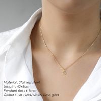 Stainless Steel 14K Gold Plated Rose Gold Plated Simple Style Plating Constellation Pendant Necklace main image 2