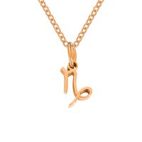 Stainless Steel 14K Gold Plated Rose Gold Plated Simple Style Plating Constellation Pendant Necklace main image 3