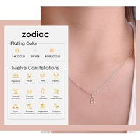 Stainless Steel 14K Gold Plated Rose Gold Plated Simple Style Plating Constellation Pendant Necklace main image 5