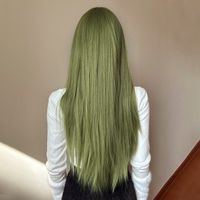 Femmes Décontractée Formel Sucré Vert Mascarade Fibre Chimique Bangs Cheveux Longs Et Droits Filet À Perruque main image 6