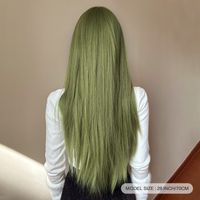 Women's Casual Formal Sweet Green Masquerade Chemical Fiber Bangs Long Straight Hair Wig Net main image 7