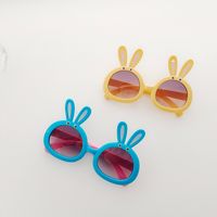 Cute Vacation Rabbit Pc Resin Oval Frame Full Frame Kids Sunglasses main image 1