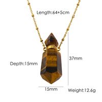 IG Style Simple Style British Style Perfume Bottle Stainless Steel Natural Stone 14K Gold Plated Pendant Necklace In Bulk sku image 4