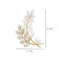 Simple Style Grain Alloy Inlay Artificial Rhinestones Opal Pearl Women's Brooches main image 2