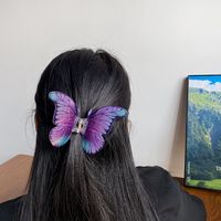 Frau Einfacher Stil Schmetterling Aryl Haarkrallen main image 1