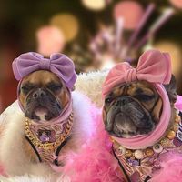 Sweet Polyester Cartoon Bow Knot Pet Accessories main image 1