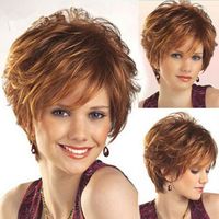 Women's Simple Style Casual Stage Street High Temperature Wire Side Fringe Short Curly Hair Wig Net sku image 1