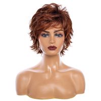Women's Simple Style Casual Carnival Stage High Temperature Wire Side Fringe Short Curly Hair Wig Net main image 5