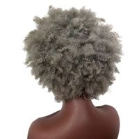 Women's African Style Casual Stage Street High Temperature Wire Side Fringe Short Curly Hair Wig Net main image 3