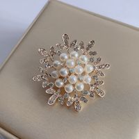 Elegant Glam Geometric Alloy Plating Inlay Artificial Pearls Rhinestones Shell Women's Brooches main image 4