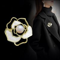 Elegant Glam Geometric Alloy Plating Inlay Artificial Pearls Rhinestones Shell Women's Brooches sku image 8