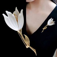 Elegant Glam Geometric Alloy Plating Inlay Artificial Pearls Rhinestones Shell Women's Brooches sku image 25
