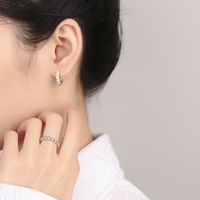 Simple Style Geometric Sterling Silver Plating Women's Rings Earrings main image 5