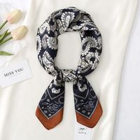 Women's Simple Style Classic Style Color Block Polyester Printing Silk Scarf main image 2
