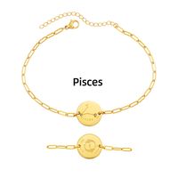 Stainless Steel Simple Style Classic Style Constellation Plating Bracelets sku image 5
