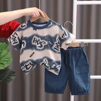 Simple Style Color Block Cotton Boys Clothing Sets sku image 1