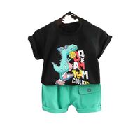 Simple Style Color Block Cotton Boys Clothing Sets main image 5