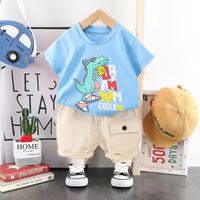 Simple Style Color Block Cotton Boys Clothing Sets sku image 6