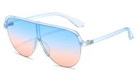 Casual Color Block Pc Toad Glasses Full Frame Women's Sunglasses sku image 6