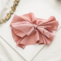 Women's IG Style Sweet Bow Knot Cloth Hair Clip sku image 8