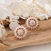 1 Pair IG Style Sweet Shiny Flower Hollow Out Inlay Copper Zircon Rose Gold Plated Ear Studs main image 8
