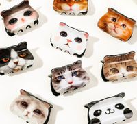 Femmes Mignon Chat PVC Griffes De Cheveux main image 1