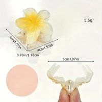Women's Sweet Simple Style Flower Plastic Hair Clip main image 2