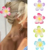 Women's Sweet Simple Style Flower Plastic Stoving Varnish Hair Claws main image 4