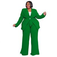 Daily Women's Elegant Solid Color Spandex Polyester Knit Pants Sets Plus Size Two-piece Sets main image 2