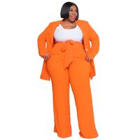 Daily Women's Elegant Solid Color Spandex Polyester Knit Pants Sets Plus Size Two-piece Sets main image 3